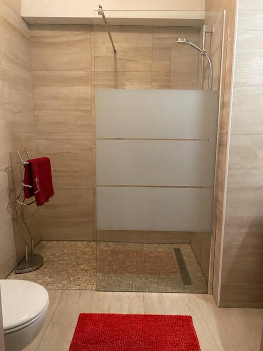 Charmant Appartement Renove Au Coeur Du Village Saint-Martin-Vésubie Eksteriør billede